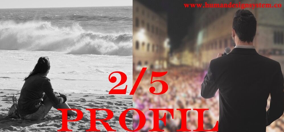 2/5 Profil Human Design System 12 profiles