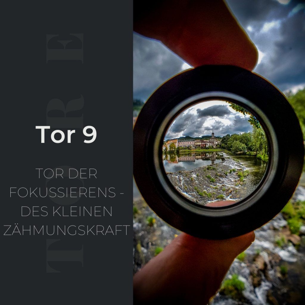 Tor 9 - Tor der Fokussierens - Des kleinen Zähmungskraft