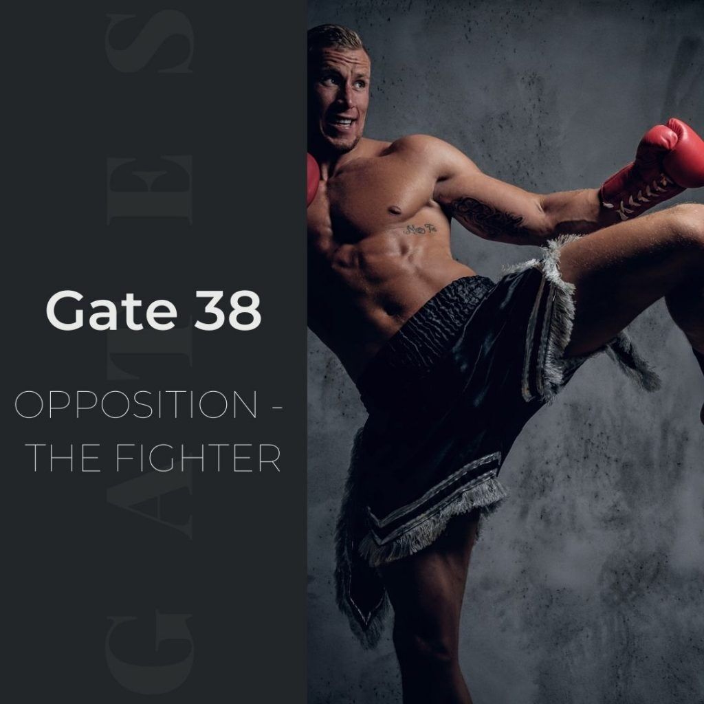 Human Design Gate 38 - Opposition - The Fighter