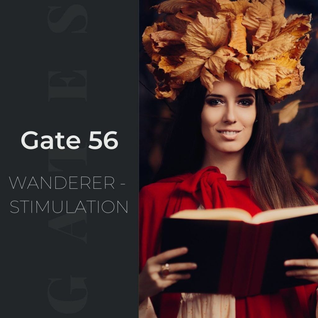 Human Design Gate 56 - Wanderer - Stimulation