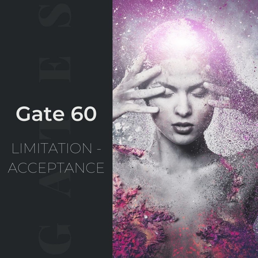 Human Design Gate 60 - Limitation - Acceptance