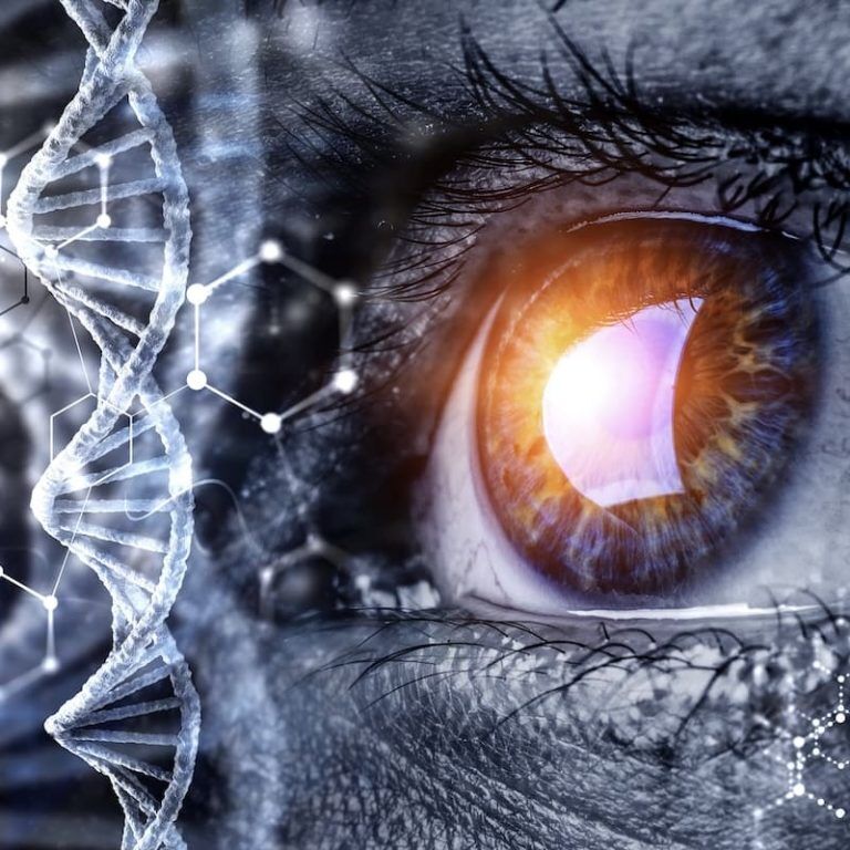Rave ABC - Human Design Kurs